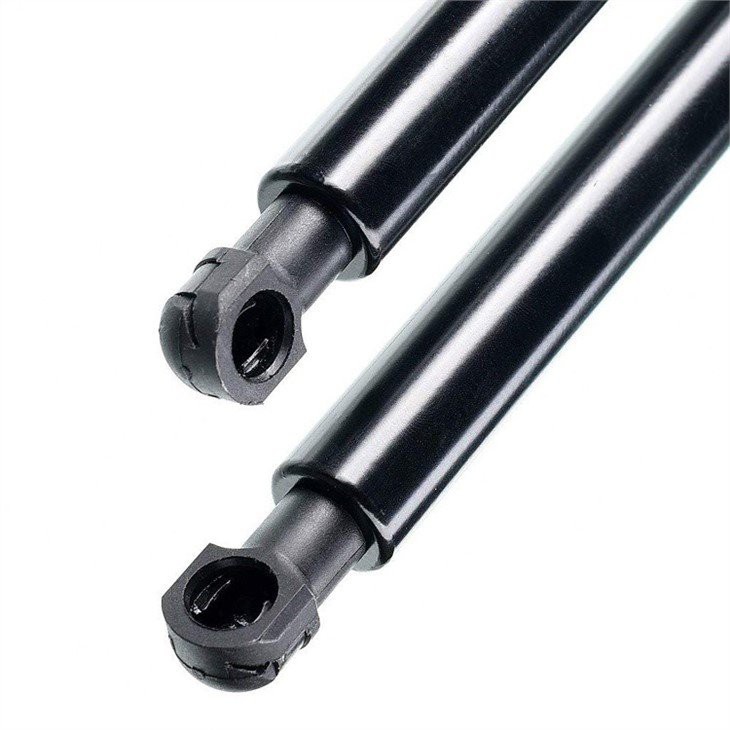 Bonnet Gas Struts Bonnet Gas Struts